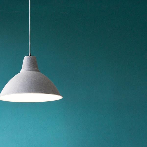 Smart Ceiling Fan Light