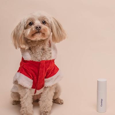 Deodorant Natural
