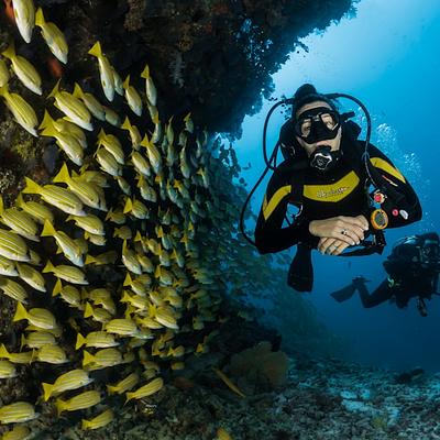 Snorkeling Fins